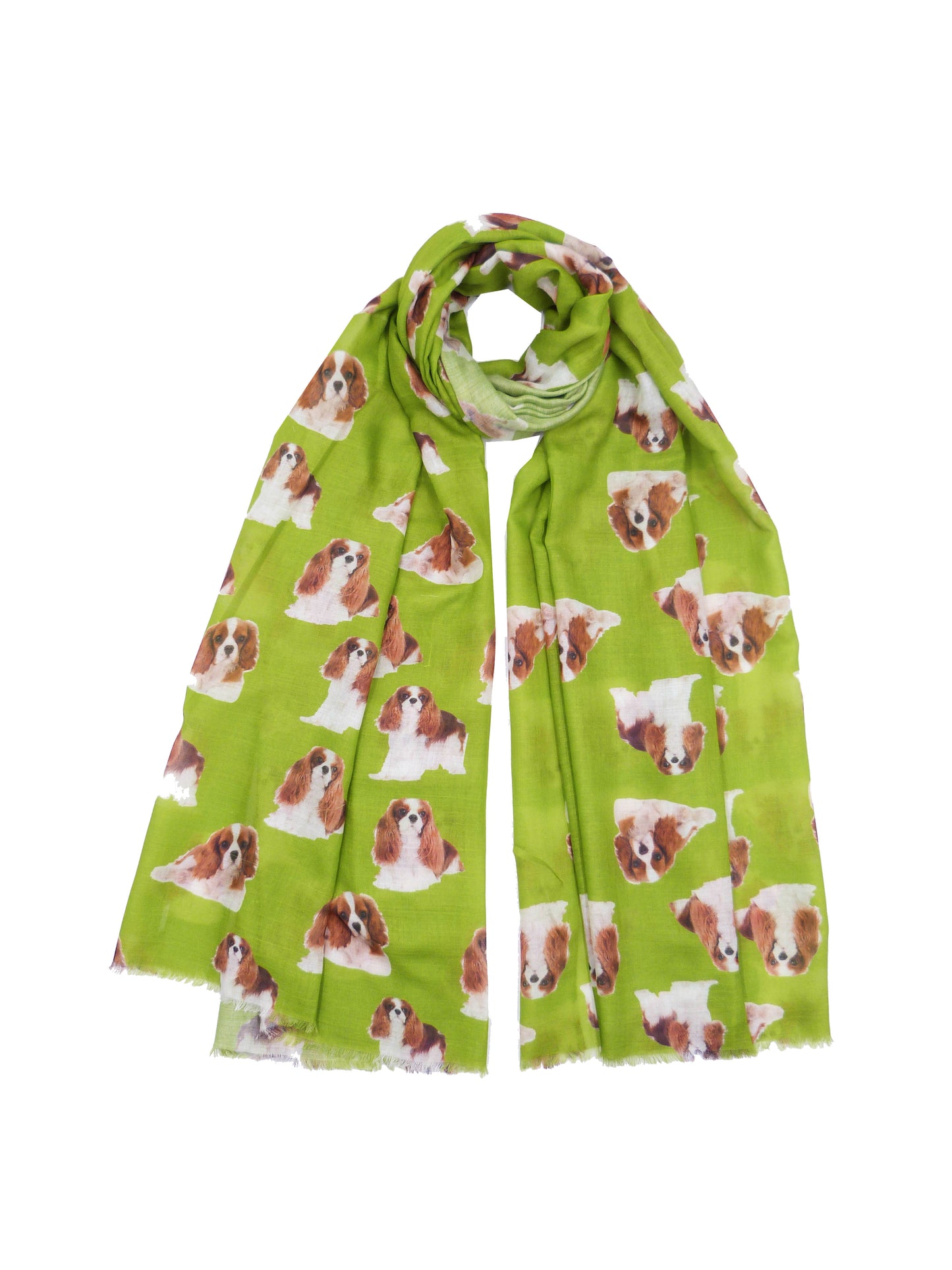 Cavalier King Charles Print Scarf For Dog Lovers